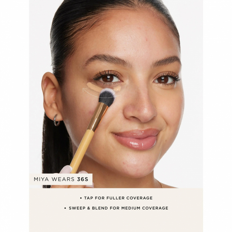 tarte Concealer Paw Brush Angl - Beauty Makeup Brands ulasan dan harga